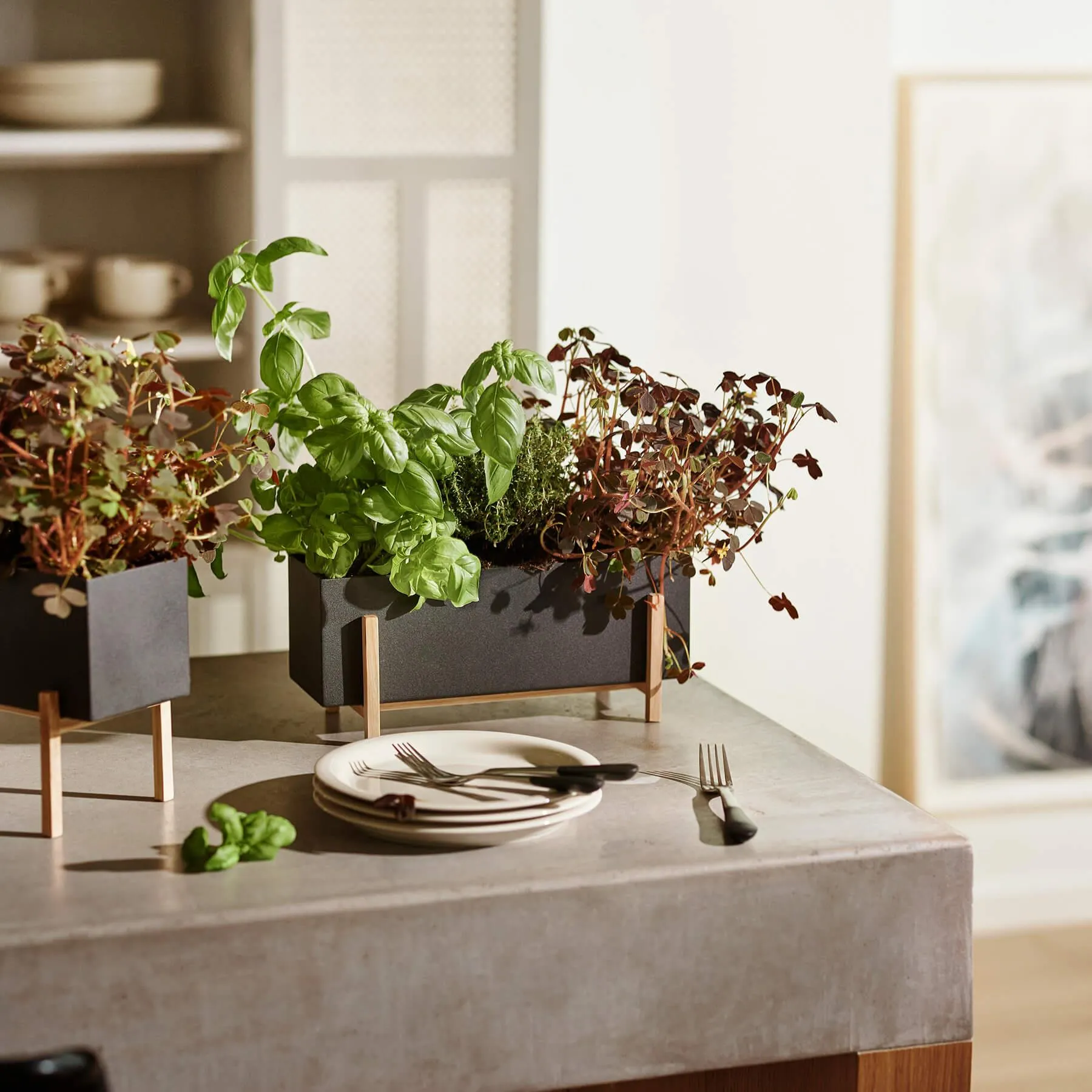 Design House Stockholm Botanic Herb Box