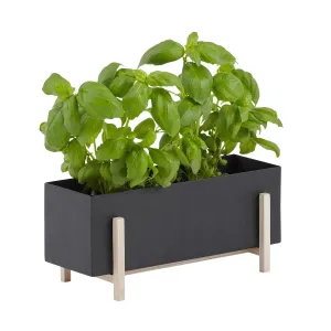 Design House Stockholm Botanic Herb Box