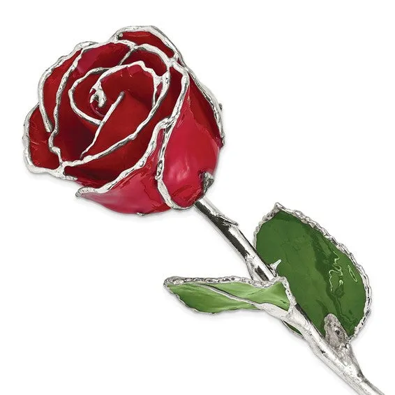 Lacquer Dipped Silver Trimmed Red Natural Rose